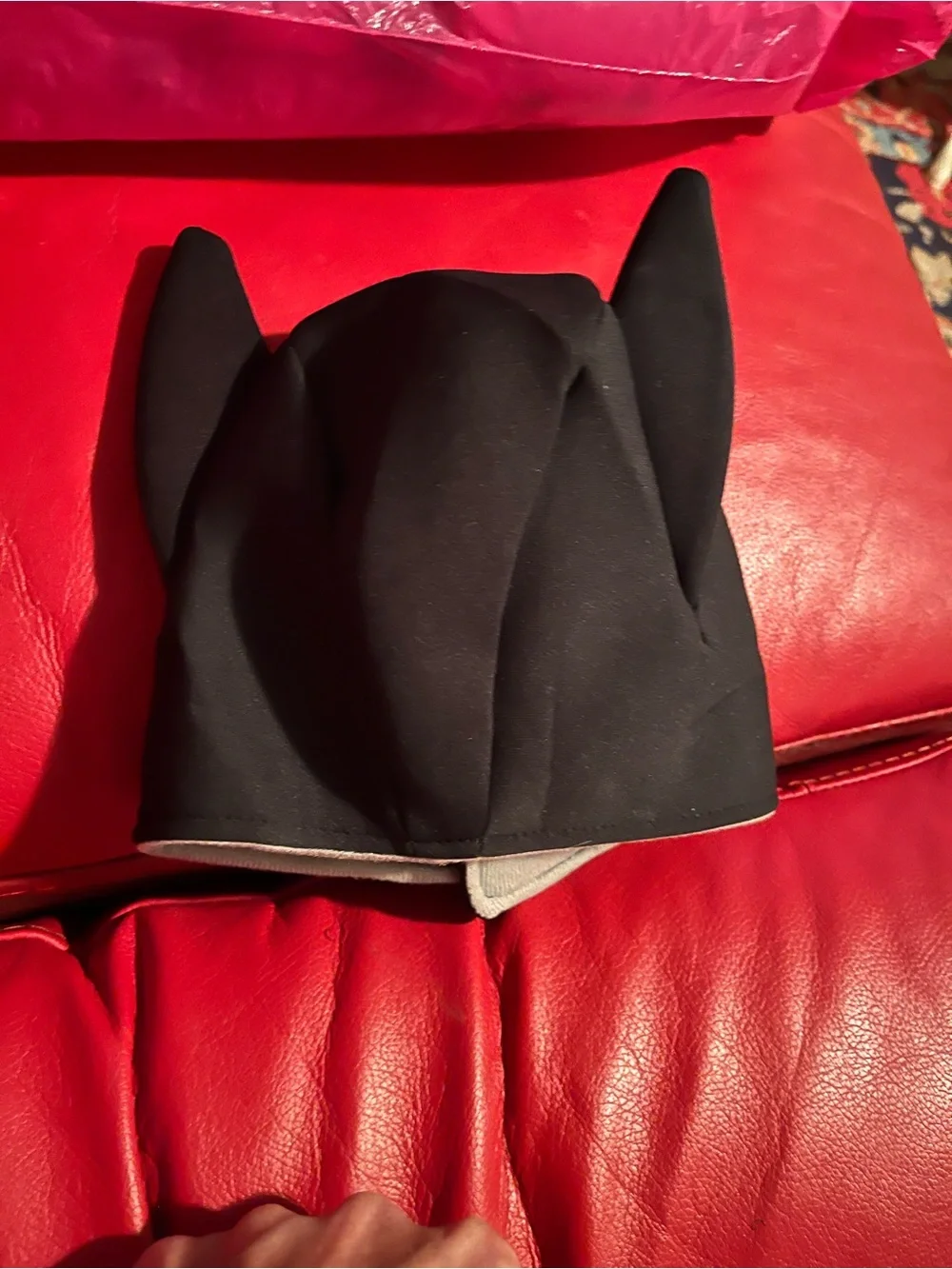 Top Paw bat wing/hat harness/costume
